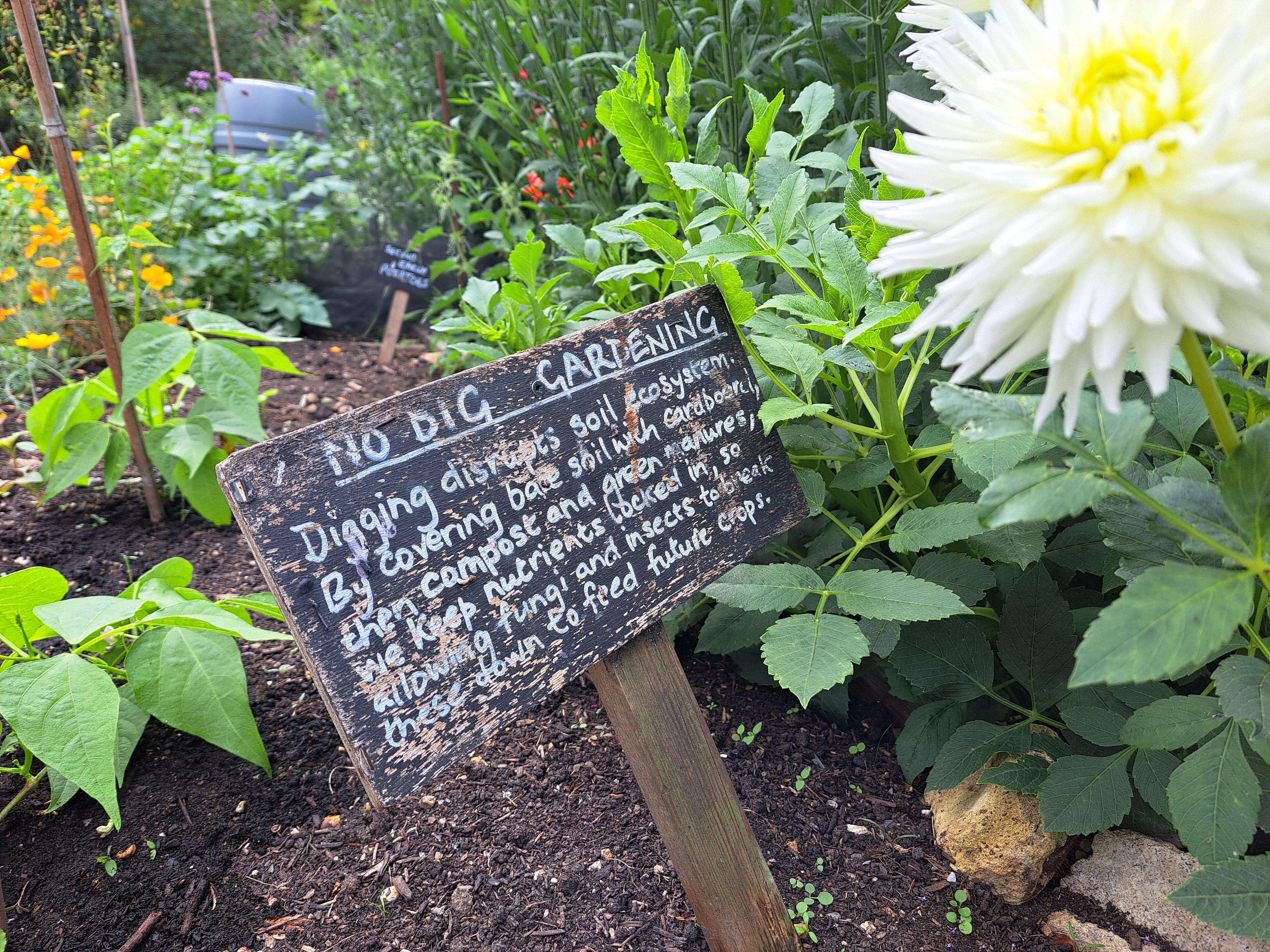 No Dig Gardening at Sccg