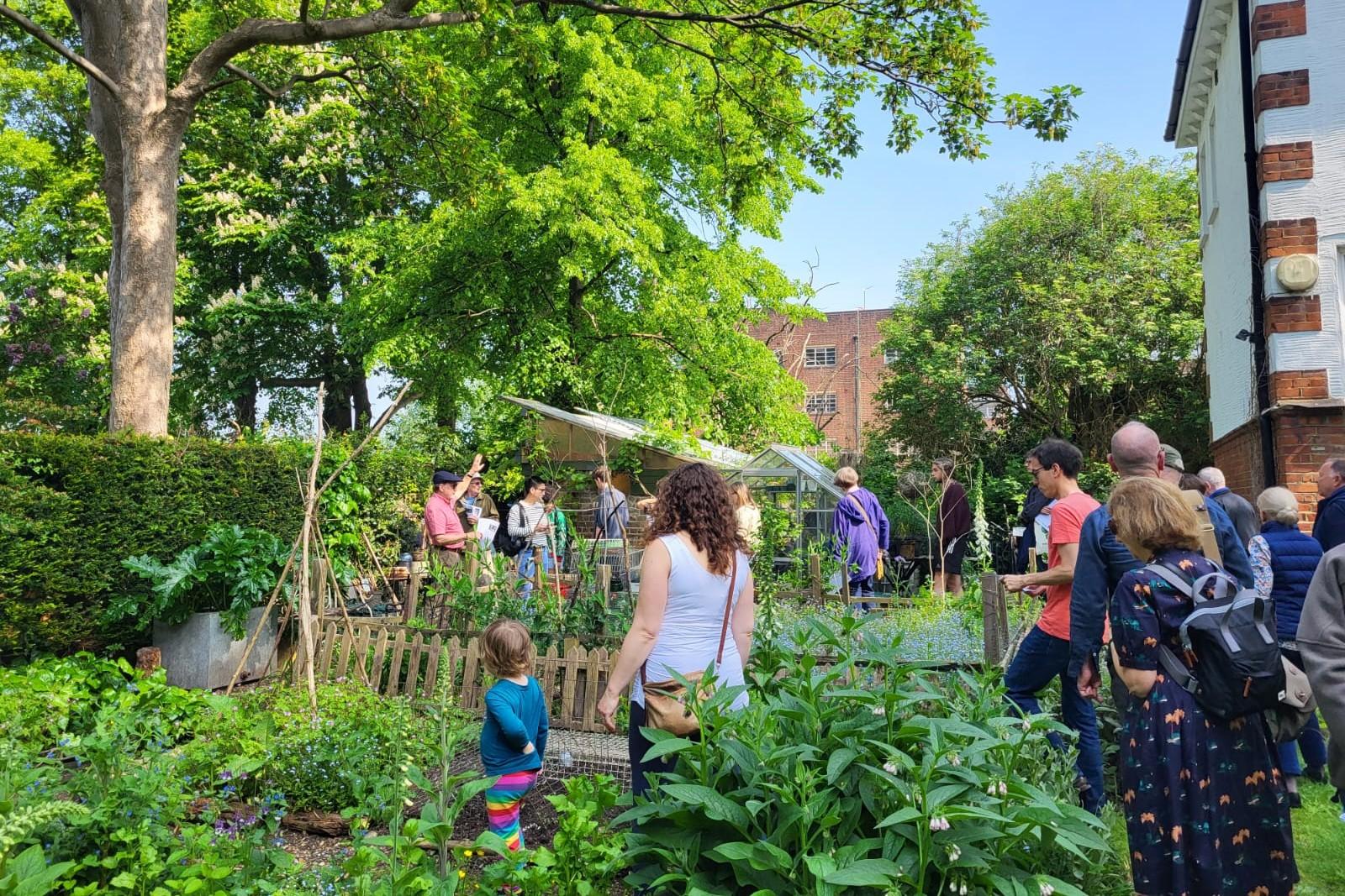 Dorchester 24 2 (3)32