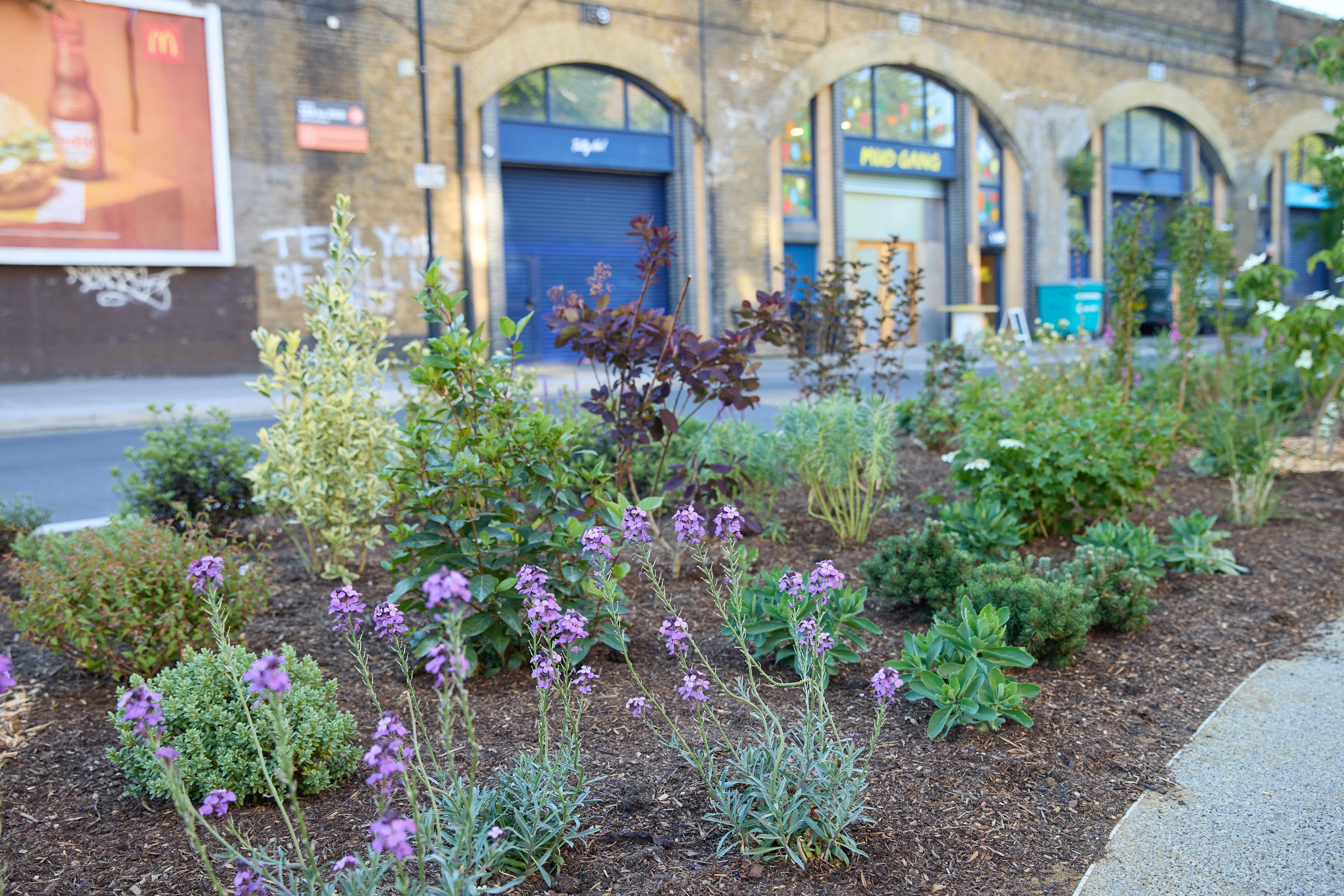 Waw Hercules Gardens 150525 045