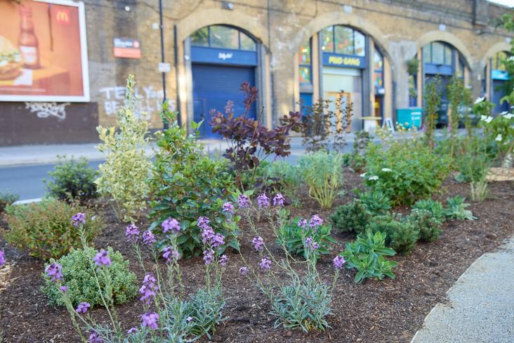 Waw Hercules Gardens 150525 045