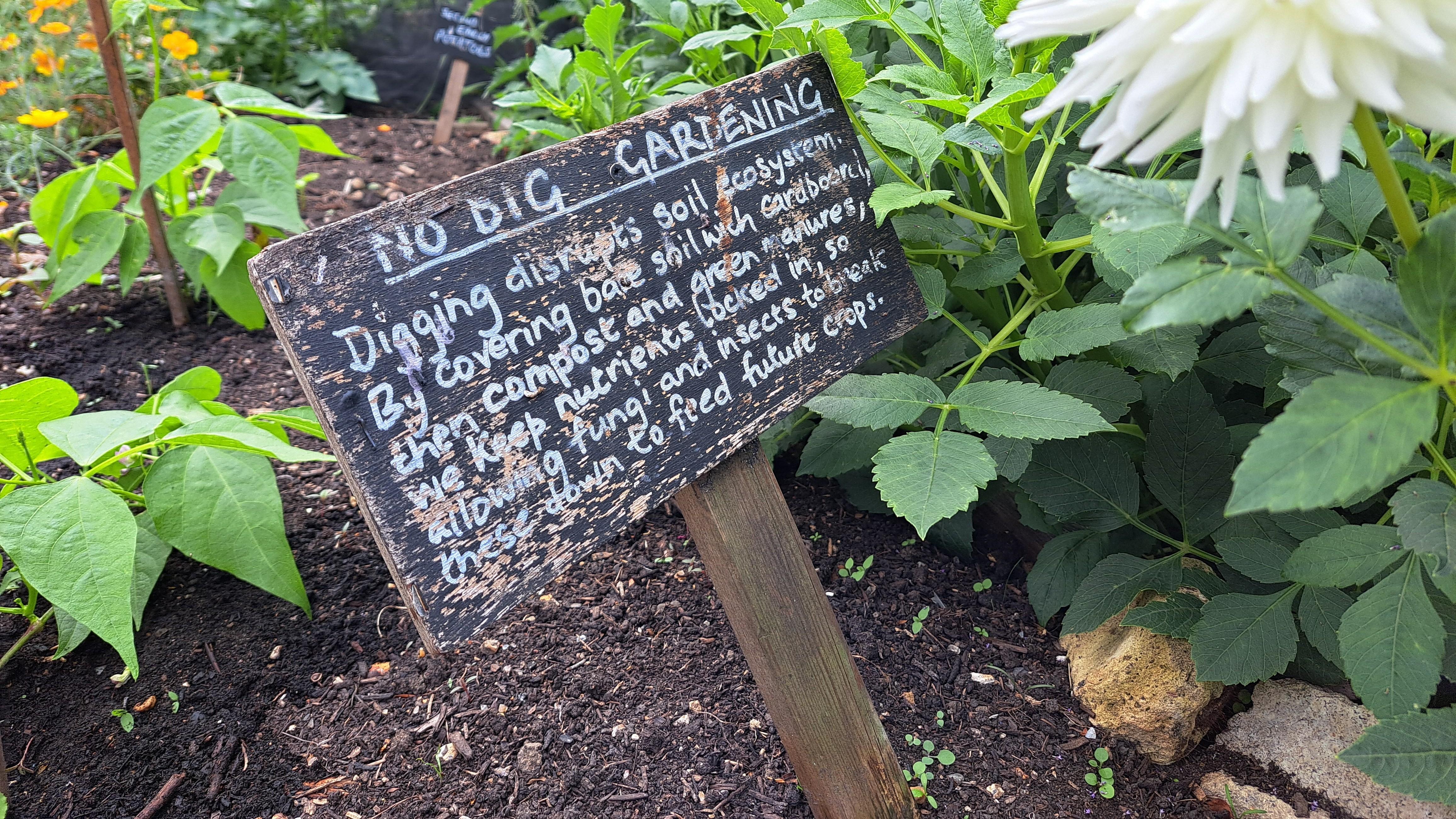 No Dig Gardening at Sccg Cover